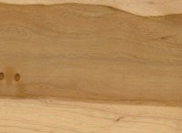 Pecan — This image depicts sealed Pecan wood, which may illustrate its appearance after treatment. | https://www.wood-database.com/wp-content/uploads/pecan-sealed-146x200.jpg