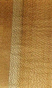 Common hazel wood grain specimen