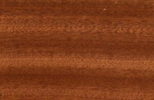 Large-leaved mahogany — This is an image associated with the fact sheet for Acajou-grandes hojas, also called Khaya or large-leaved African mahogany. The surrounding text describes this wood species, including its differentiated sapwood and darker heartwood.
