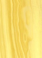 Pinyon Pine — This image displays the sealed version of Pinyon Pine, indicating its appearance after sealing. | https://www.wood-database.com/wp-content/uploads/pinyon-pine-sealed-146x200.jpg