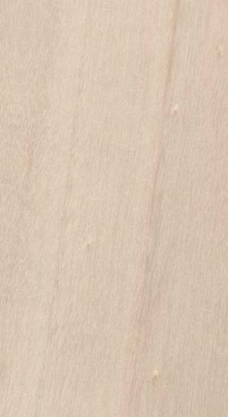 Poplar — flat_sawn
