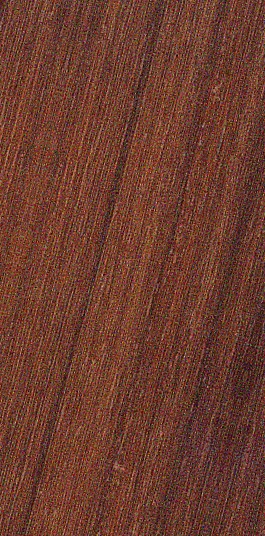 African Padauk* / Padouk d’Afrique — quarter_sawn