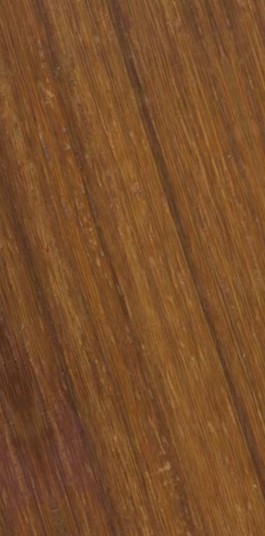 African Padauk* / Padouk d’Afrique — quarter_sawn