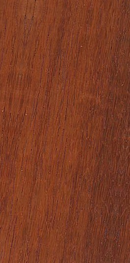African Padauk* / Padouk d’Afrique — half_quarter_sawn