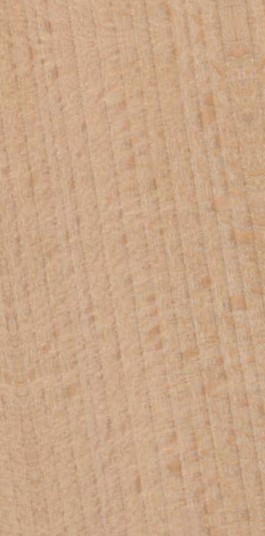 Beech — quarter_sawn