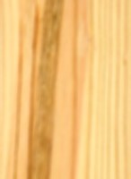 Shortleaf Pine — This image depicts the Shortleaf Pine wood that has been sealed, likely to demonstrate its appearance after treatment. | https://www.wood-database.com/wp-content/uploads/shortleaf-pine-sealed-146x200.jpg