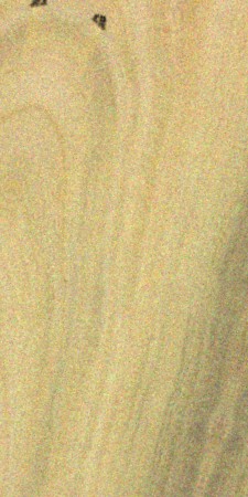 Broad-Leaved Apple — This image shows the broad-leaved apple tree (Angophora floribunda), which is native to Eastern Australia and can grow to heights of 56-82 feet with a trunk diameter of 1-2 feet. | https://www.wood-database.com/wp-content/uploads/angophora-floribunda-225x450.jpg
