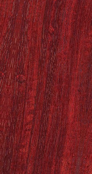 Padauk Amboina — half_quarter_sawn