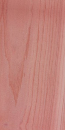 Northern White Cedar — This image shows northern white cedar (Thuja occidentalis), a tree species native to Northeastern North America, characterized by its height of 50-65 ft and trunk diameter of 1.3-2 ft. | https://www.wood-database.com/wp-content/uploads/thuja-occidentalis-225x450.jpg