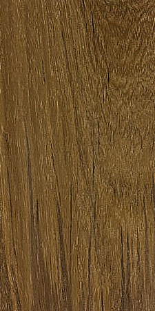 Teak — This image shows Teak (Tectona grandis), a tree species native to southern Asia and widely grown in tropical regions. It highlights the tree's size, with heights of 100-130 ft and trunk diameters of 3-5 ft. | https://www.wood-database.com/wp-content/uploads/tectona-grandis-225x450.jpg