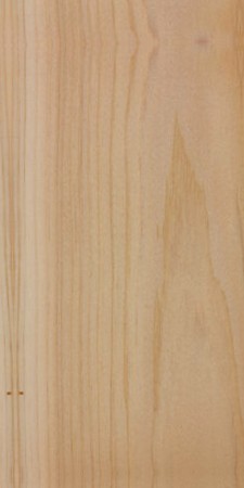Northern White Cedar — This image shows northern white cedar (Thuja occidentalis), a tree species native to Northeastern North America, characterized by its height of 50-65 ft and trunk diameter of 1.3-2 ft. | https://www.wood-database.com/wp-content/uploads/thuja-occidentalis-225x450.jpg