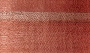 Common hazel — An image associated with the Avellano (hazelnut) fact sheet. In context, it belongs to a set of images illustrating the species or its wood, whose heartwood, sapwood, properties, origin, and uses are described in the text.