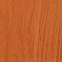 Osage Orange — This image depicts sealed Osage Orange wood, which highlights its natural luster and color. The heartwood is typically golden to bright yellow, which can darken over time due to UV exposure. | https://www.wood-database.com/wp-content/uploads/osage-orange-sealed-200x200.jpg