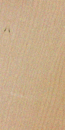Acer (maple) genus — This image shows the example species Acer saccharum, commonly known as hard maple or sugar maple, which is characterized by its moderate density and strength, making it one of the hardest and heaviest species in the maple genus. | https://www.wood-database.com/wp-content/uploads/acer-saccharum-225x450.jpg
