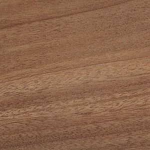 Large-leaved mahogany — This is an image associated with the fact sheet for Acajou-grandes hojas, also called Khaya or large-leaved African mahogany. The surrounding text describes this wood species, including its differentiated sapwood and darker heartwood.