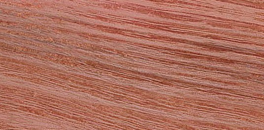 Black Locust — flat_sawn