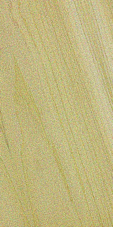 Northern White Cedar — This image shows northern white cedar (Thuja occidentalis), a tree species native to Northeastern North America, characterized by its height of 50-65 ft and trunk diameter of 1.3-2 ft. | https://www.wood-database.com/wp-content/uploads/thuja-occidentalis-225x450.jpg