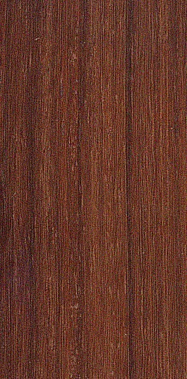 African Padauk* / Padouk d’Afrique — quarter_sawn
