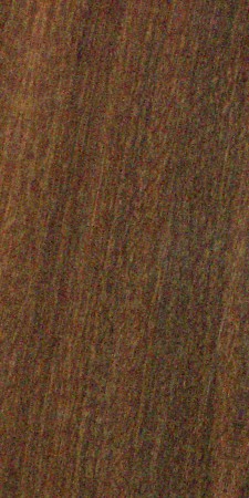 Ipe — This image shows Ipe wood (Handroanthus serratifolius), a species known for its durability and strength, commonly found in tropical Central and South America. | https://www.wood-database.com/wp-content/uploads/handroanthus-serratifolius-225x450.jpg