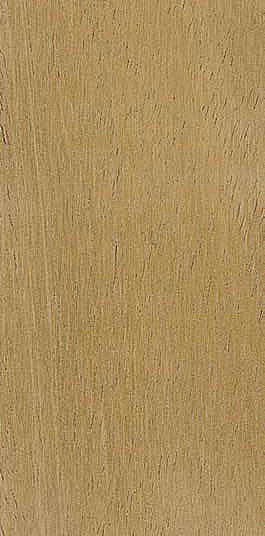 Mahogany — flat_sawn