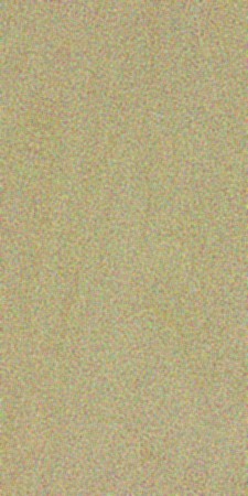 Basswood — This image shows Basswood (Tilia americana), a tree species native to Eastern North America, characterized by its height of 65-120 ft and trunk diameter of 3-4 ft. | https://www.wood-database.com/wp-content/uploads/tilia-americana-225x450.jpg