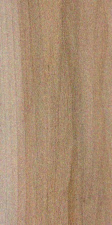 Red maple — This image shows the Red Maple tree (Acer rubrum), which is native to Eastern North America and can grow up to 100 feet tall with a trunk diameter of 2-3 feet. | https://www.wood-database.com/wp-content/uploads/acer-rubrum-225x450.jpg