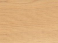 Port Orford Cedar — The image depicts sanded Port Orford Cedar, highlighting its light yellowish brown heartwood and fine texture, which is characteristic of this wood species. | https://www.wood-database.com/wp-content/uploads/port-orford-cedar-sealed-150x200.jpg