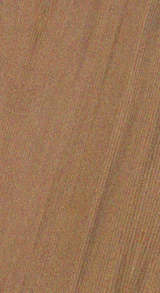 Red Cedar — half_quarter_sawn