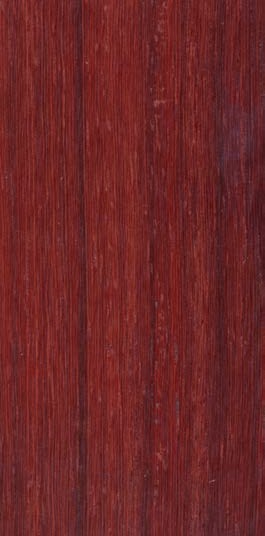 African Padauk* / Padouk d’Afrique — quarter_sawn
