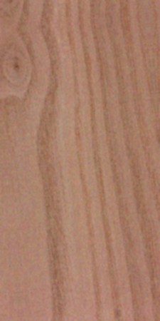 Sassafras wood grain sample