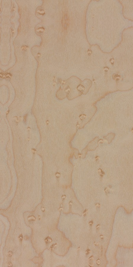 Birdseye maple — This image likely depicts birdseye maple, showcasing the unique grain pattern that resembles small bird's eyes, a result of specific growth conditions. | https://www.wood-database.com/wp-content/uploads/acer-spp-birdseye.jpg
