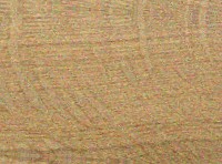 Post Oak wood grain specimen