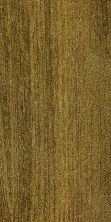 Acacia (wattle) genus — This image shows Australian blackwood (Acacia melanoxylon), a species known for its medium to dark brown heartwood and sharply demarcated sapwood. | https://www.wood-database.com/wp-content/uploads/acacia-melanoxylon-1-225x450.jpg