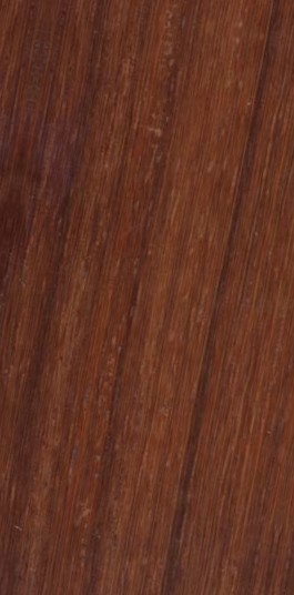 African Padauk* / Padouk d’Afrique — quarter_sawn