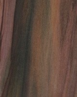 Rainbow Poplar — This image depicts Rainbow Poplar wood that has been sealed, which may enhance its appearance and protect the surface. | https://www.wood-database.com/wp-content/uploads/rainbow-poplar-sealed-gw-160x200.jpg