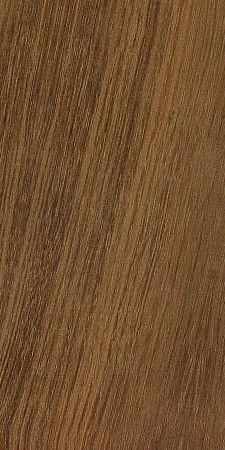 Australian Blackwood — This image shows Australian blackwood (Acacia melanoxylon), a tree native to Tasmania and eastern Australia, known for its variable color and contrasting bands in growth rings. | https://www.wood-database.com/wp-content/uploads/acacia-melanoxylon-1-225x450.jpg