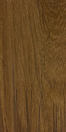 Teak — This image shows Teak (Tectona grandis), a tree species native to southern Asia and widely grown in tropical regions. It highlights the tree's size, with heights of 100-130 ft and trunk diameters of 3-5 ft. | https://www.wood-database.com/wp-content/uploads/tectona-grandis-225x450.jpg