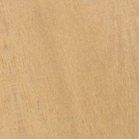 Spanish Cedar — The image shows Spanish Cedar (Cedrela odorata), highlighting its common name and scientific classification, along with details about its distribution and physical characteristics. | https://www.wood-database.com/wp-content/uploads/spanish-cedar-200x200.jpg
