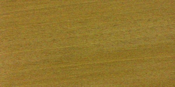 Honduran Mahogany — This image shows Honduran mahogany (Swietenia macrophylla), a tree species known for its height and trunk diameter. | https://www.wood-database.com/wp-content/uploads/swietenia-macrophylla-fs-300x600.jpg