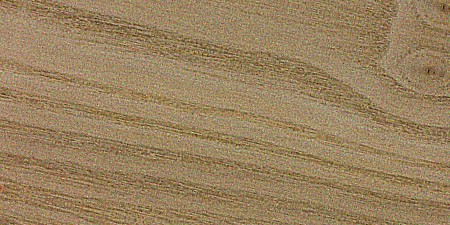 Sassafras wood grain sample