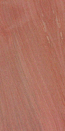 Betulaceae (birch) family — This image shows a species of birch, specifically Betula pendula, which is part of the Betulaceae family. The surrounding text indicates that this family includes several genera, with birch being the most commercially significant. | https://www.wood-database.com/wp-content/uploads/betula-pendula-225x450.jpg
