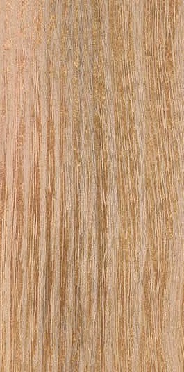 Black Locust — flat_sawn