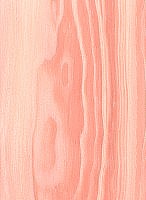 Pinyon Pine — This image shows the Pinyon Pine (Pinus edulis), likely depicting the tree or its wood. | https://www.wood-database.com/wp-content/uploads/pinyon-pine-146x200.jpg