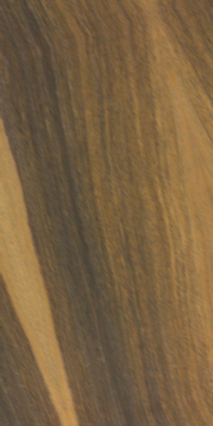 Lignum-vitae wood grain sample