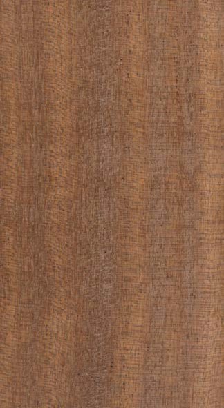 Sapelli /Sapele* — quarter_sawn