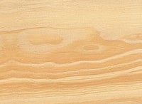 Pinyon Pine — This image shows the Pinyon Pine (Pinus edulis), likely depicting the tree or its wood. | https://www.wood-database.com/wp-content/uploads/pinyon-pine-146x200.jpg
