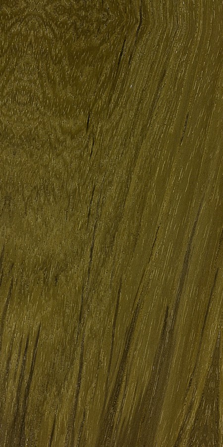 Teak — This image likely depicts Teak wood, possibly showcasing its surface or finish, as it is mentioned in the context of applying a wood finish. | https://www.wood-database.com/wp-content/uploads/tectona-grandis.jpg