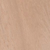 Spanish Cedar — The image shows Spanish Cedar (Cedrela odorata), highlighting its common name and scientific classification, along with details about its distribution and physical characteristics. | https://www.wood-database.com/wp-content/uploads/spanish-cedar-200x200.jpg