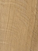Post Oak — This image shows Post Oak (Quercus stellata), likely depicting the wood or tree itself. | https://www.wood-database.com/wp-content/uploads/post-oak-148x200.jpg