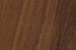 Acacia (wattle) genus — The image depicts raspberry jam (Acacia acuminata), a species listed among various Acacia types. | https://www.wood-database.com/wp-content/uploads/acacia-acuminata-250x167.jpg